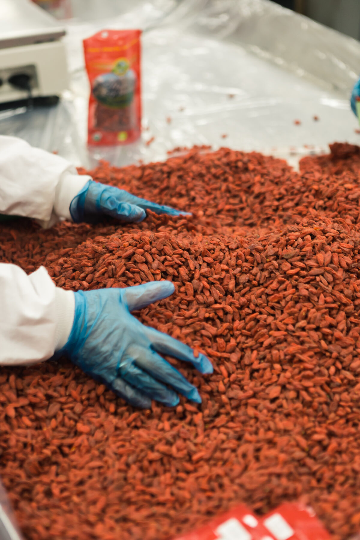 Contrôle qualité de baies séchées lors de la transformation agroalimentaire