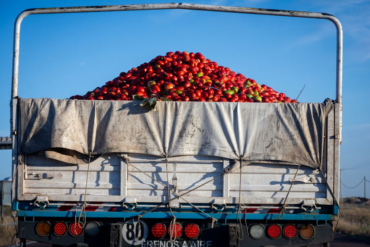 Étals de marché avec fruits et légumes frais, revendeuses au travail
